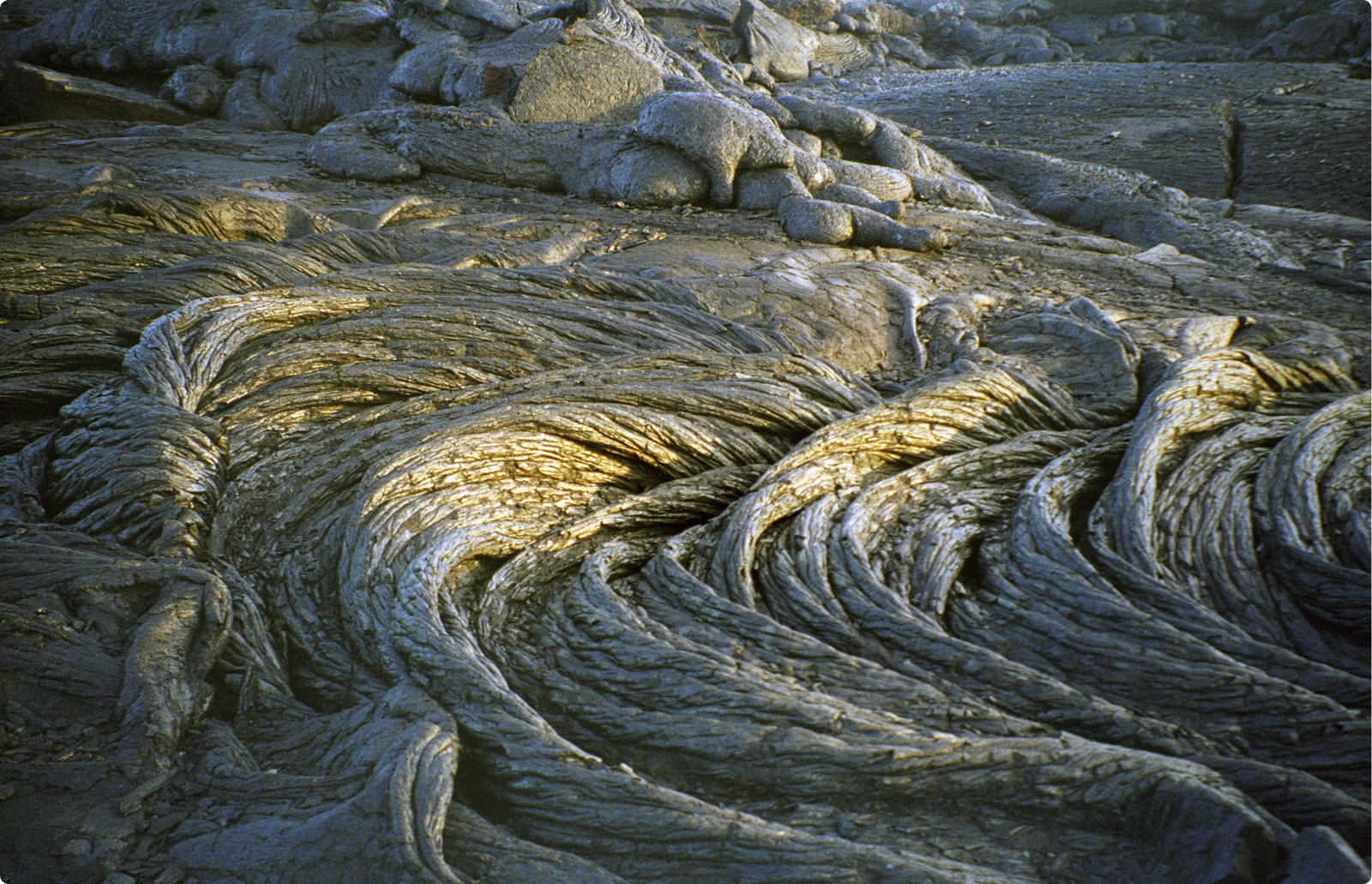 Folded rock strata