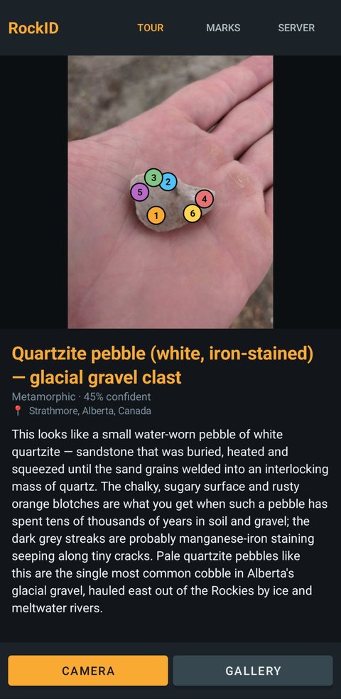 RockID result: quartzite pebble with six numbered features and a plain-language explanation